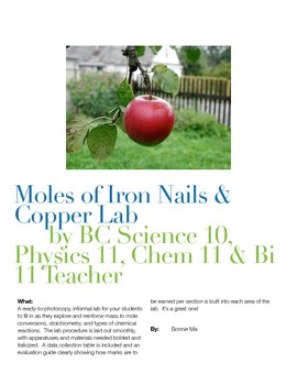 Preview of Moles of Iron Nails & Copper Lab