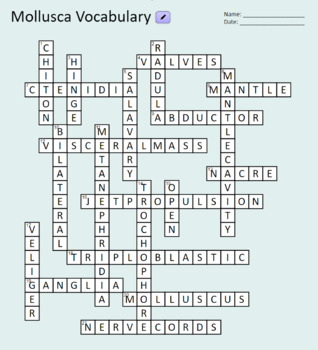 Mollusca Crossword by Fitz and Fun Creations TPT