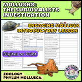 Mollusk Investigation I Zoology Mollusks Digital Lesson Pl