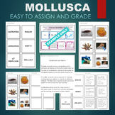 Mollusk - Mollusca (Bivalve, Gastropod, etc) Sort & Match 