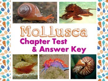 Preview of Mollusk  (Phylum Mollusca) Test for Biology or Zoology