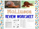 Mollusk Review Worksheet for Biology or Zoology