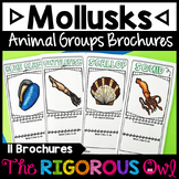 Mollusks | Animal Groups and Animal Classifications Brochures