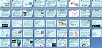 Preview of Mollusks Annelids Smartboard Notebook Presentation Lesson Plan