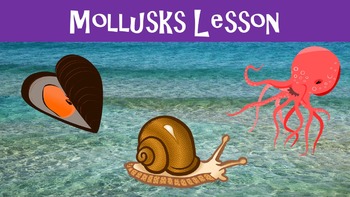 Preview of Mollusks Lesson with Power Point Presentation, Worksheet, and Word Search
