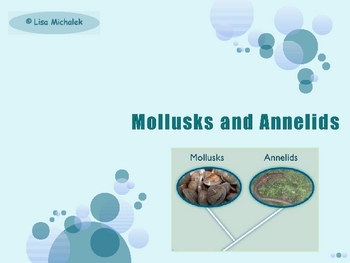 Preview of Mollusks and Annelids PowerPoint Presentation Lesson Plan