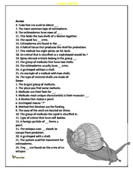 worksheets science grade 3 animals and Science Echinoderms Crossword Mollusks Puzzle by