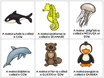 Mommy & Baby Names: Ocean Animals by Whitneyslp | TPT
