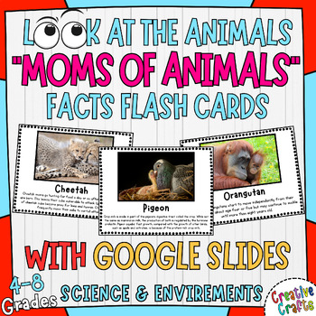 Preview of Moms of Animals Facts Flash Cards for Grades 4-8 with Real Photos & Google Slide