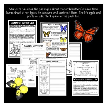 Spring Activities: Butterflies | Butterfly Life Cycle | All About Butterflies