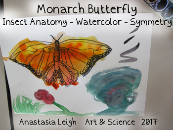 Preview of Monarch Butterflies Watercolor