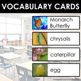 Monarch Butterflies | Word Wall/ Vocabulary Cards