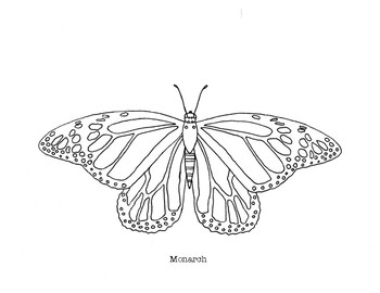 simple monarch butterfly coloring pages