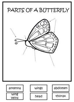 Monarch Butterfly Lapbook by Grow Explore Discover | TpT