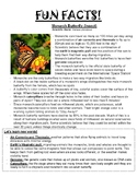 Monarch Butterfly Lesson Plan, butterfly life cycle and an