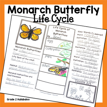 Preview of Monarch Butterfly Life Cycle Informational Texts and Trifold Brochure