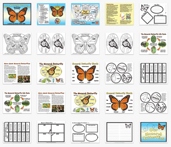 Monarch Butterfly Bundle: Raise Monarchs Book + Gardening for Monarchs –  Monarch Butterfly Life