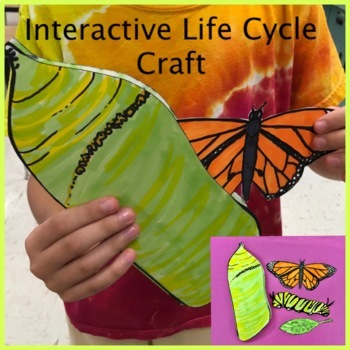 Preview of Monarch Butterfly Life Cycle Interactive Craft, Science Activity. No Prep
