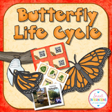 Science and Writing - Butterfly Life Cycle - Slideshow, Mi