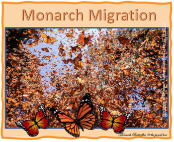 Preview of Monarch Butterfly Migration