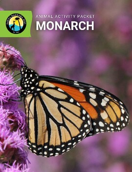 Preview of Monarch Butterfly Pollinator Activity Packet; Diagrams, Worksheets, Coloring