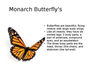 Monarch Butterfly Powerpoint by Nikki'sCreations | TPT