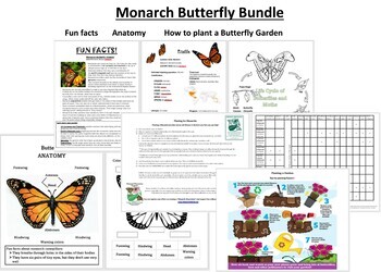 Preview of Monarch Butterfly bundle: learn fact, anatomy and how to protect this butterfly