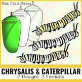 Monarch Caterpillar and Chrysalis FREE Clip Art