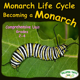 Monarch Life Cycle - Becoming a Monarch
