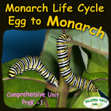 Monarch Life Cycle - Egg to Monarch