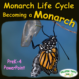 Monarch Life Cycle PowerPoint