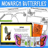 Monarch butterflies presentation & printable activities wo
