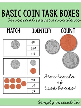 Preview of Money Task Box | Coin Counting | Special Education