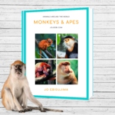 Monkey And Apes Montessori 3 part cards and activities