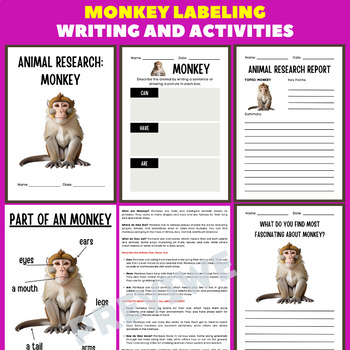 Preview of Monkey Animal Research Project Report - Information Report Activities