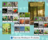 Monkey Puzzle - Montessori 3 Part Cards and memory game - 