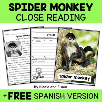 examples of rough drafts for spider monkeys