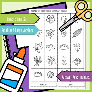 Monocot and Dicot Plant Seek and Sort Science Doodle & Science Card Sort