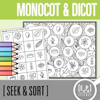 monocot plants list
