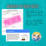 Monocot vs Dicot Notes