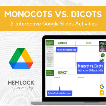 Preview of Monocot vs. Dicot Plants - Drag-drop, description in Slides | REMOTE LEARNING