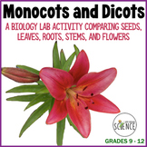 Monocots and Dicots Lab
