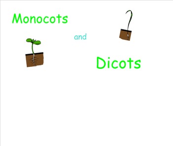 Preview of Monocots and Dicots for Smartboard