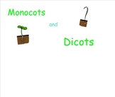 Monocots and Dicots for Smartboard