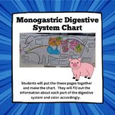 Monogastric Digestive System Chart/Picture