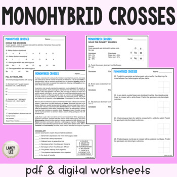 Monohybrid Cross Punnett Square Practice Worksheet Pdf Digital