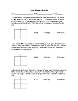 Monohybrid Cross Practice Problems by Gobys Lessons  TpT