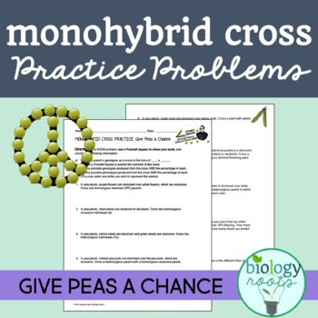 Monohybrid Cross Practice Worksheets Teaching Resources Tpt