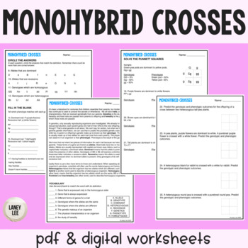 Preview of Monohybrid Crosses - Punnett Square Practice Worksheet