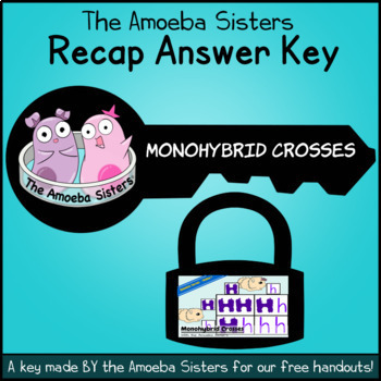 Preview of Monohybrid Crosses Recap Answer Key by The Amoeba Sisters